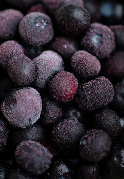 Defrosting Blueberries with Some Frost on Them