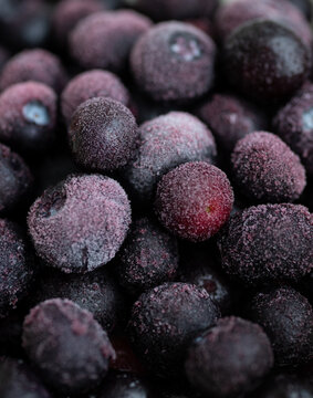 Defrosting Blueberries with Some Frost on Them