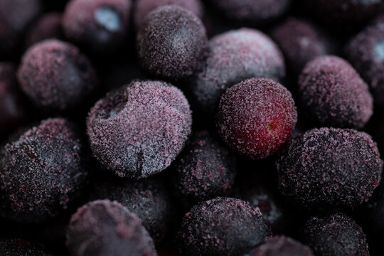 Defrosting Blueberries with Some Frost on Them