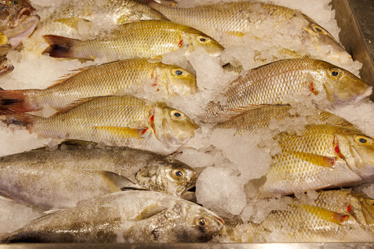 Fresh yellowfin goatfish displayed on ice at a local market