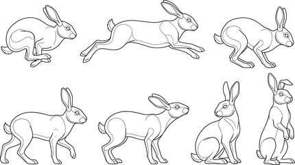 Obraz premium Rabbit Line Art Collection Featuring Eight Detailed Bunny Poses for Easter Coloring Pages and Spring Designs