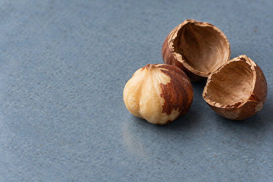 Hazelnut Kernel Beside Two Empty Shell Halves