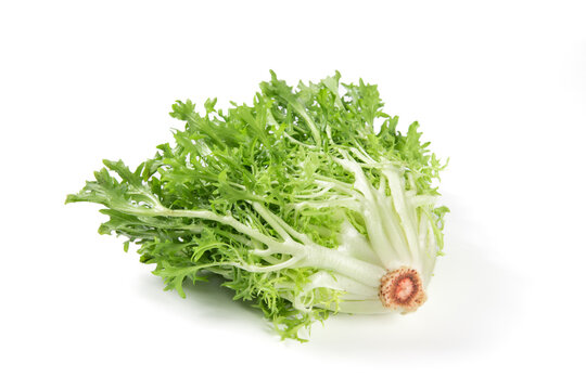 Fresh endive isolated on white background