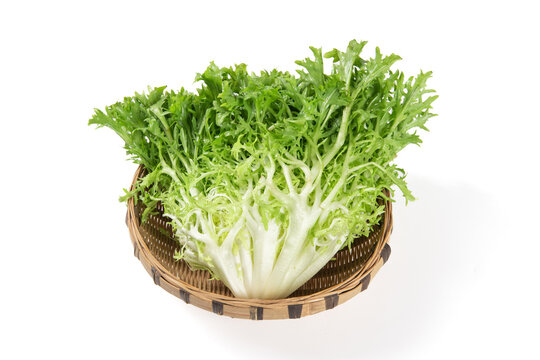 Fresh endive isolated on white background