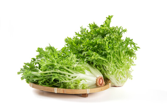 Fresh endive isolated on white background