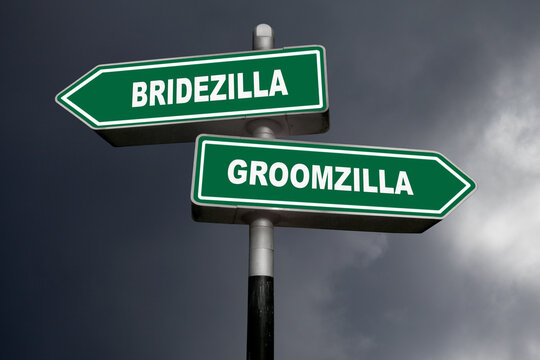Bridezilla or Groomzilla Direction signs against storm clouds