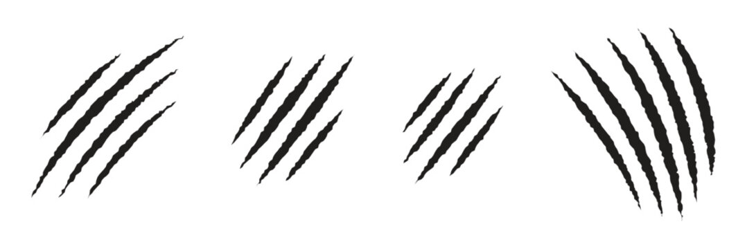 Animal claw scratches and monster scratch marks vector set. Black horror slash marks, tiger or bear paw rips, and predator talon scratches illustration