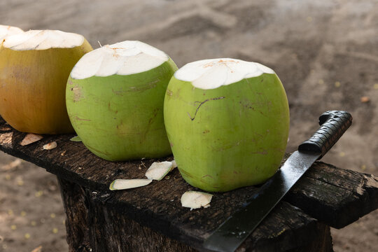 Fresh green tender coconuts chopped open on a wooden bench with a machete, organic tropical refreshing drink.