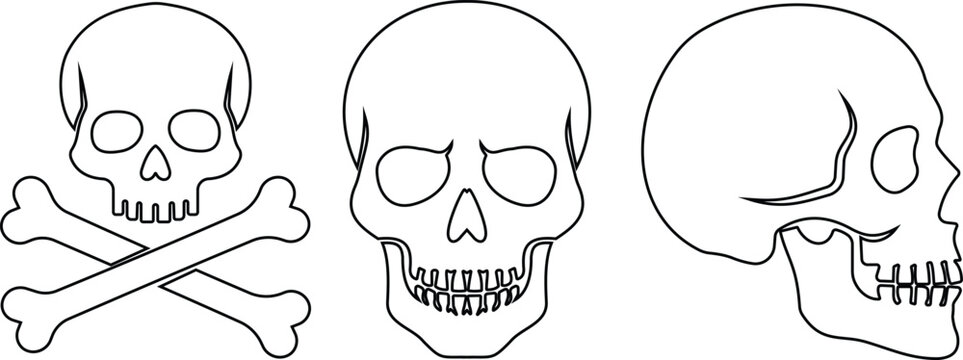 Human skull crossbones head bone icon set collection in black flat and line style editable halloween danger death elements group isolated on transparent background vector symbol