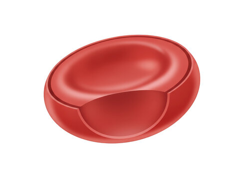 Single red cell, biconcave disc shape, detailed biological isolated on a black background, medical science concept isolated on a transparent background