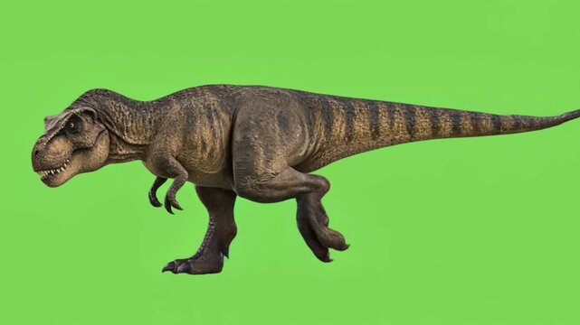 t rex dinosaur