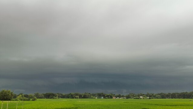 Dark storm clouds gathering above a green rice field in the countryside