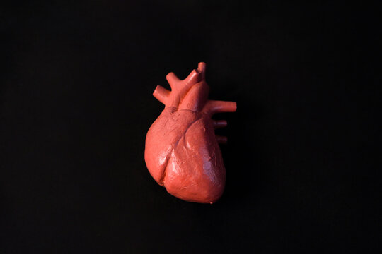 Miniature educational model of a human heart with detailed arteries and veins, isolated on a solid dark black background. Concept of human anatomy and medical education.