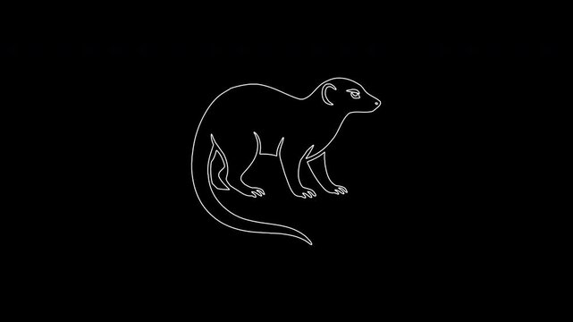 Animated mongoose line drawing animation on black background