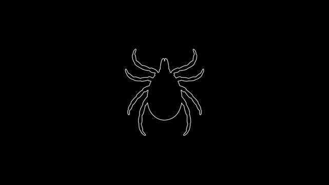 White tick outline drawing animation on black background