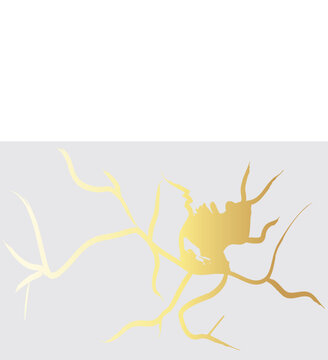 Gold Kintsugi Crack Vector on White Background.

