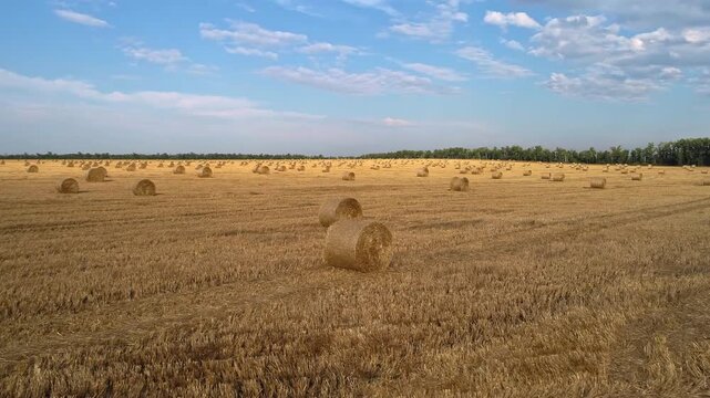 Forward drone approach moves toward a straw bales aligned across freshly harvested farmland as stubble bands and many distant rolls emphasize depth beneath a textured cloudscape