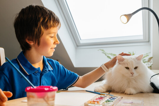 Boy petting white cat while painting watercolors