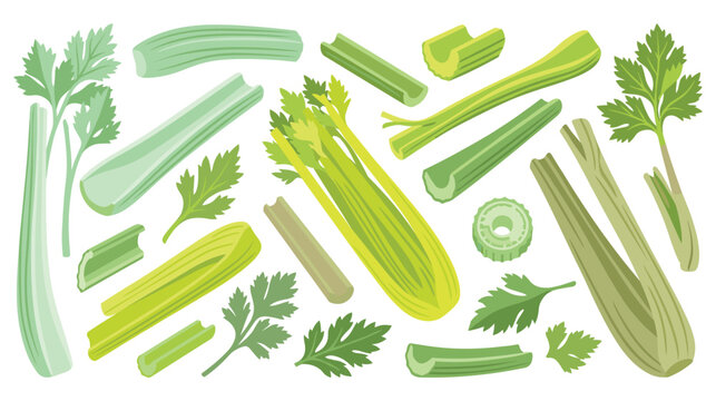 Fresh celery stalks and green leaves organic ingredient collection.