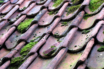 Classic roof with moss growing on it, comfort and harmony concept © Nazar