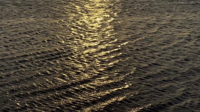 Golden Sunlight Reflection on Rippling Water