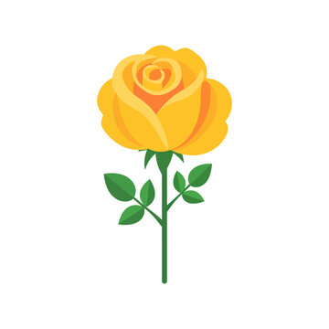 Beautiful single yellow rose flower with green leaves and stem as a simple vector illustration isolated on transparent background, Vector
