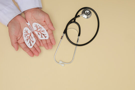 Caring doctor hands hold lung symbol beside stethoscope representing pulmonary health management with professional medical hope