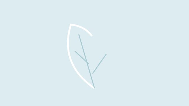 White line art leaf drawing itself with veins on pale blue
