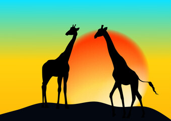 giraffe silhouette at sunset © Tweentysix