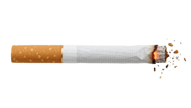 Burning cigarette with glowing ember and ash falling, isolated on transparent background