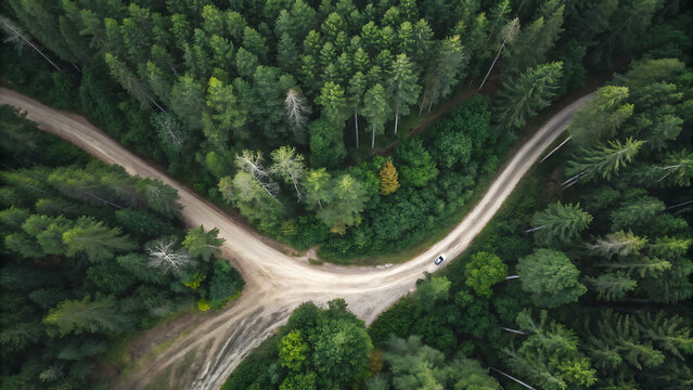Aerial Top Down View of Handshake Shaped Clearing Dirt Road in Green Pine Forest