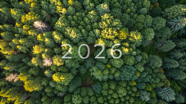 Aerial Top Down View of Dense Green Forest Canopy with 2026 Text Overlay