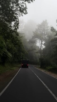 A black vehicle drives along a winding road surrounded by dense fog and tall trees. The scene conveys a sense of mystery and tranquility in nature.