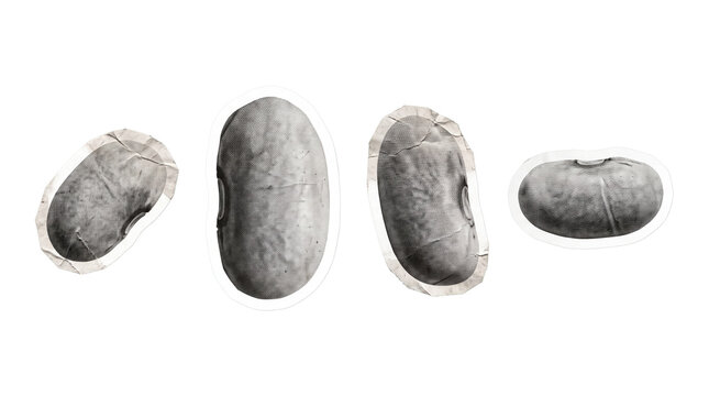 navy bean , newspaper collage cutout set PNG