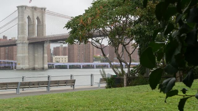 Brooklyn Bridge and residential district from Brooklyn Bridge Park promenade, New York City, United States. American architecture, famous tourist landmark. Foggy rainy day. Green grass lawn for picnic