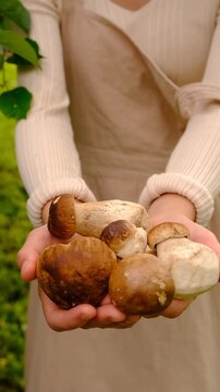 Wild mushrooms in a hand. Selective focus.