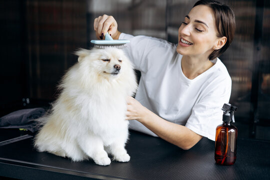 Woman brushing a fluffy white pomeranian dog on a grooming table, providing professional pet care services with a smile