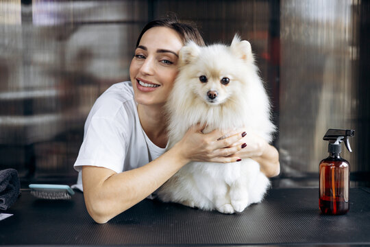 Professional woman groomer smiling while holding a fluffy white pomeranian dog on a grooming table, providing pet care