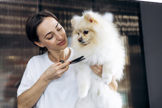 Professional female groomer carefully trimming a cute pomeranian dog's fur with scissors in a pet salon