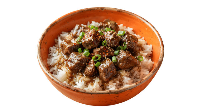 Bowl of beef cubes with rice garnished with sliced green onions cooked beef savory meal asian cuisine hot food meat dish food photography restaurant food beef chunks