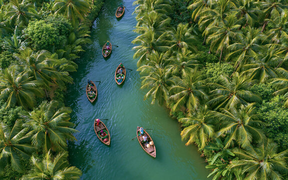 Aerial view of basket boats navigating lush waterways in hoi an, vietnam