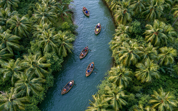 Aerial view of basket boats navigating lush waterways in hoi an, vietnam