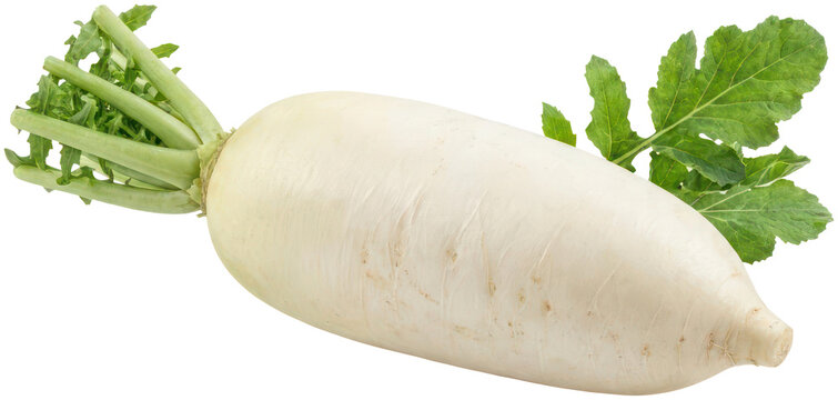 Large white daikon radish with green leaves.