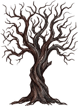 tree with roots