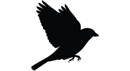 Fototapeta premium A black bird silhouette displays wings in flight against a white background