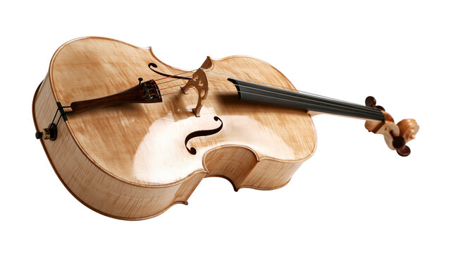 Polished light maple wood cello with dark ebony fingerboard and bridge