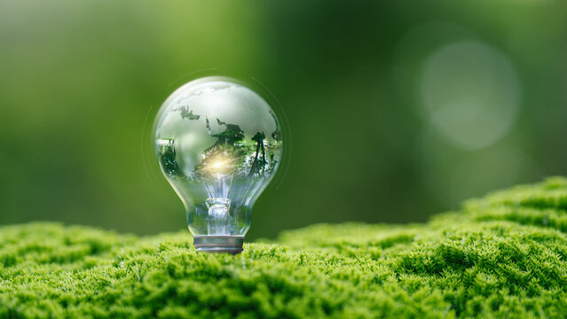 Green energy and renewable energy concept, environmental sustainability. light bulb with green world globe inside on moss in forest for eco friendly technology, global warming solution.