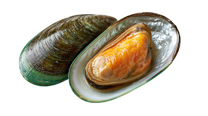 Fresh raw green mussel with orange meat inside a shiny pearlescent shell © Cressida