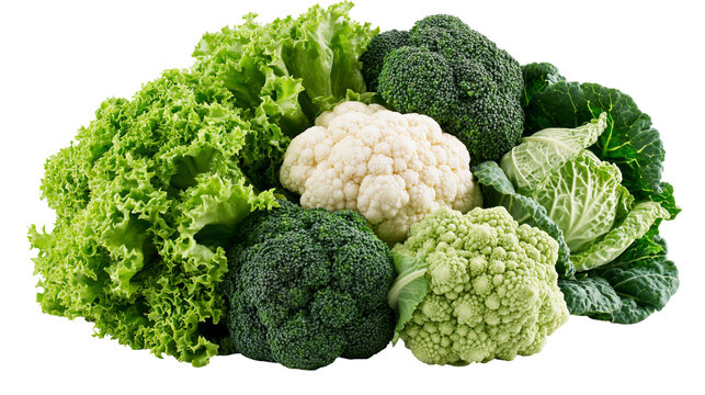 Fresh green lettuce broccoli cauliflower and savoy cabbage vegetable assortment