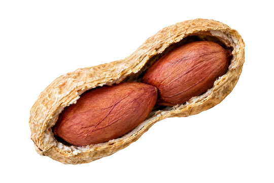 opened peanut shell